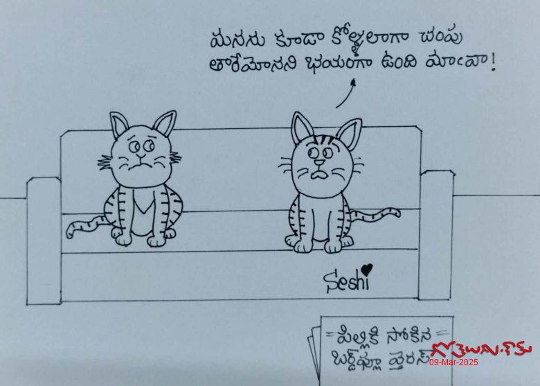 బోర్డు ఫ్లూ
